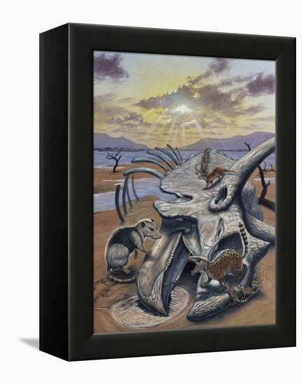 Triceratops Skull with Early Mammals-null-Framed Stretched Canvas