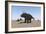 Triceratops Walking across a Barren Landscape-null-Framed Premium Giclee Print