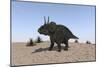 Triceratops Walking across a Barren Landscape-null-Mounted Art Print