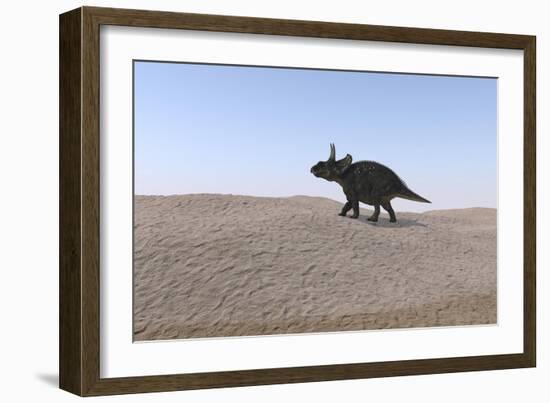 Triceratops Walking across a Barren Landscape-null-Framed Art Print