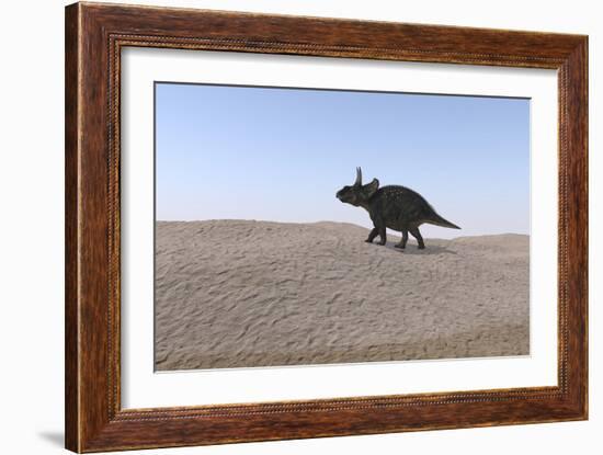 Triceratops Walking across a Barren Landscape-null-Framed Art Print