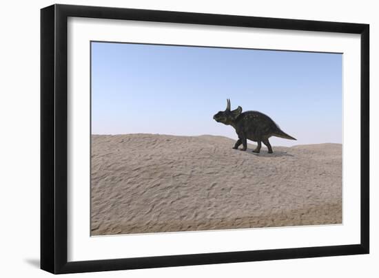 Triceratops Walking across a Barren Landscape-null-Framed Art Print