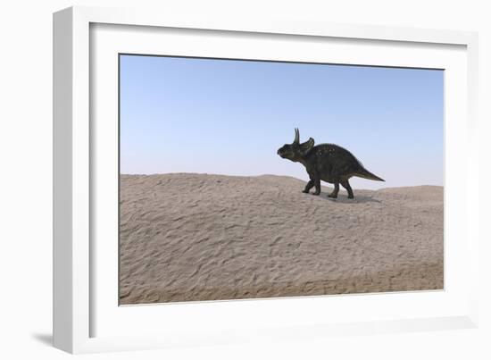 Triceratops Walking across a Barren Landscape-null-Framed Art Print