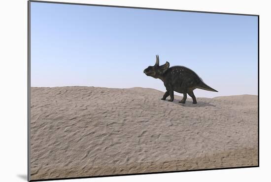 Triceratops Walking across a Barren Landscape-null-Mounted Art Print