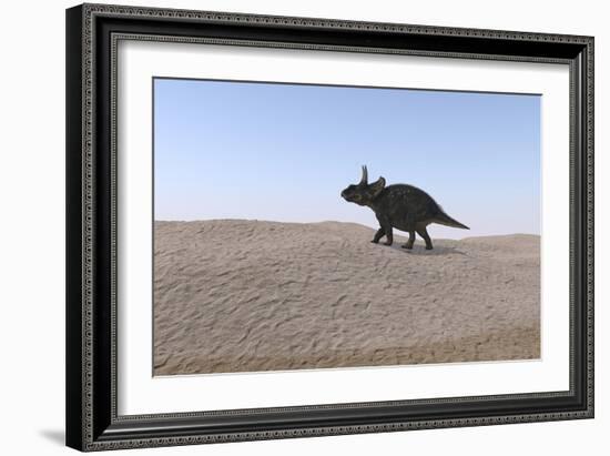 Triceratops Walking across a Barren Landscape-null-Framed Art Print