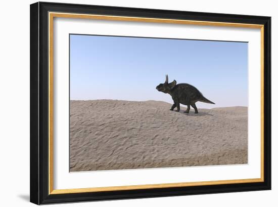 Triceratops Walking across a Barren Landscape-null-Framed Art Print