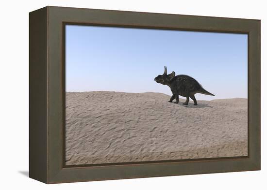 Triceratops Walking across a Barren Landscape-null-Framed Stretched Canvas