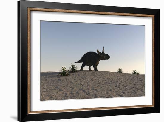 Triceratops Walking across a Barren Landscape-null-Framed Premium Giclee Print