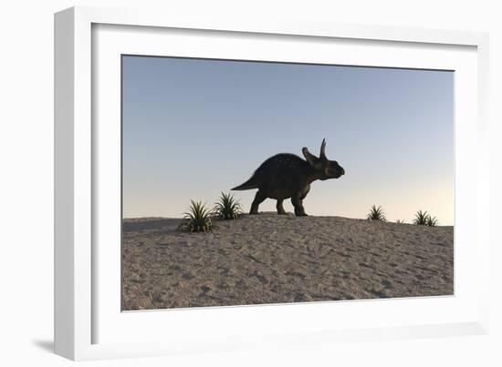 Triceratops Walking across a Barren Landscape-null-Framed Premium Giclee Print