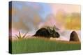 Stretched Canvas Print