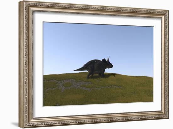 Triceratops Walking across a Grassy Field-null-Framed Art Print