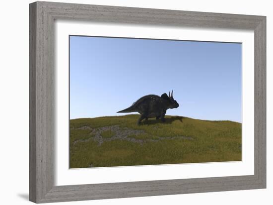 Triceratops Walking across a Grassy Field-null-Framed Art Print