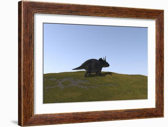 Triceratops Walking across a Grassy Field-null-Framed Art Print