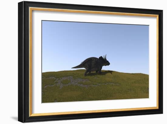 Triceratops Walking across a Grassy Field-null-Framed Art Print