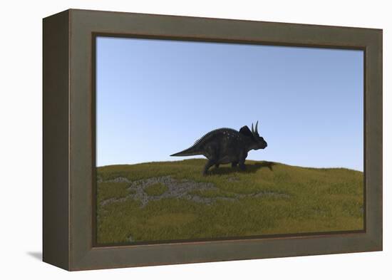 Triceratops Walking across a Grassy Field-null-Framed Stretched Canvas