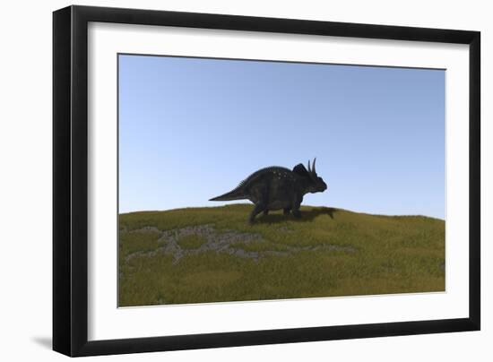 Triceratops Walking across a Grassy Field-null-Framed Premium Giclee Print