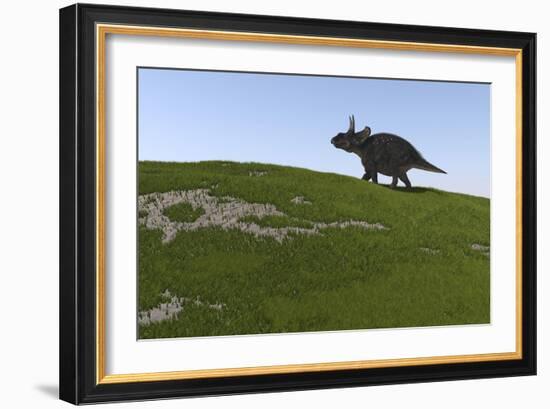 Triceratops Walking across a Grassy Field-null-Framed Premium Giclee Print