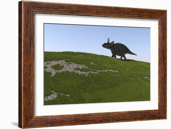 Triceratops Walking across a Grassy Field-null-Framed Art Print