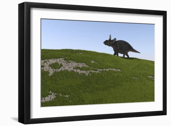 Triceratops Walking across a Grassy Field-null-Framed Art Print