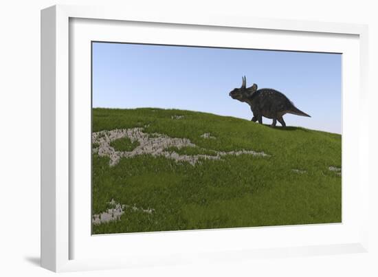 Triceratops Walking across a Grassy Field-null-Framed Art Print