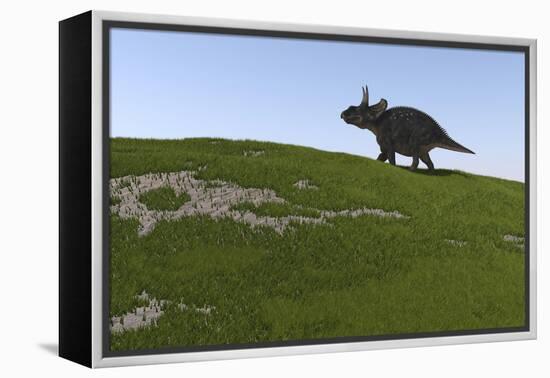 Triceratops Walking across a Grassy Field-null-Framed Stretched Canvas