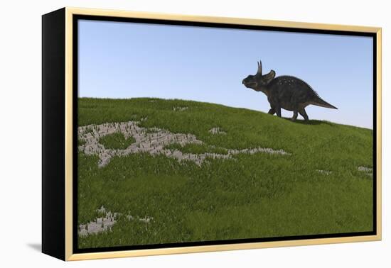 Triceratops Walking across a Grassy Field-null-Framed Stretched Canvas