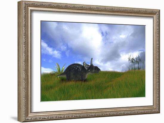 Triceratops Walking across Prehistoric Grasslands-null-Framed Art Print