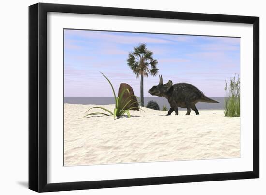 Triceratops Walking Along a Prehistoric Beach Landscape-null-Framed Art Print