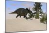 Triceratops Walking Along a Prehistoric Landscape-null-Mounted Art Print