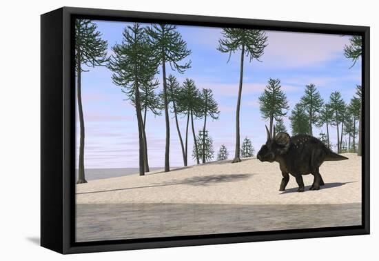 Triceratops Walking Along the Shoreline-null-Framed Stretched Canvas