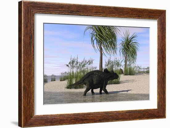 Triceratops Walking Along the Shoreline-null-Framed Art Print