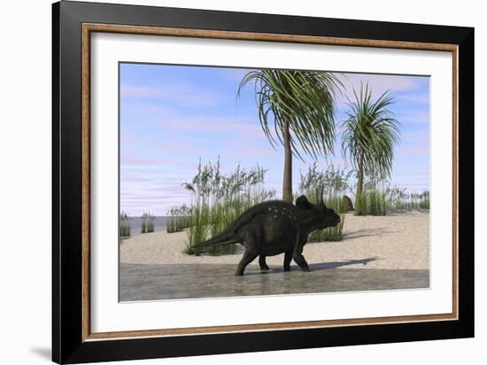 Triceratops Walking Along the Shoreline-null-Framed Art Print