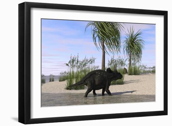 Triceratops Walking Along the Shoreline-null-Framed Art Print