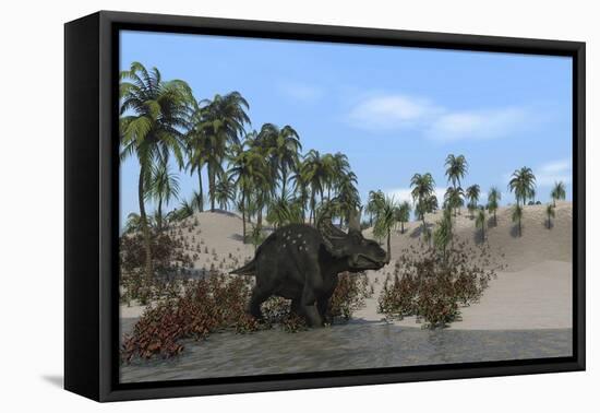 Triceratops Walking Along the Shoreline-null-Framed Stretched Canvas