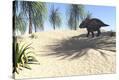 Stretched Canvas Print