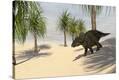 Stretched Canvas Print