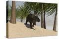 Stretched Canvas Print