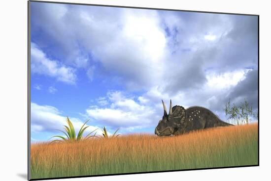 Triceratops Walking Through Tall Grass-null-Mounted Art Print