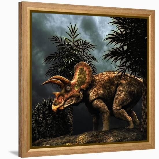 Triceratops Was a Herbivorous Dinosaur from the Cretaceous Period-null-Framed Stretched Canvas