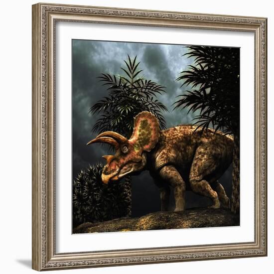 Triceratops Was a Herbivorous Dinosaur from the Cretaceous Period-null-Framed Art Print