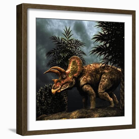 Triceratops Was a Herbivorous Dinosaur from the Cretaceous Period-null-Framed Art Print