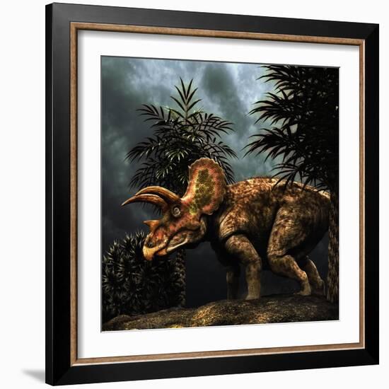 Triceratops Was a Herbivorous Dinosaur from the Cretaceous Period-null-Framed Art Print