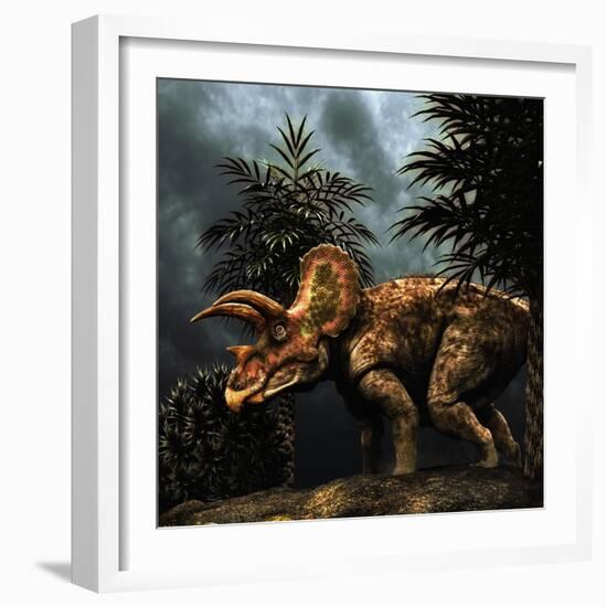 Triceratops Was a Herbivorous Dinosaur from the Cretaceous Period-null-Framed Art Print