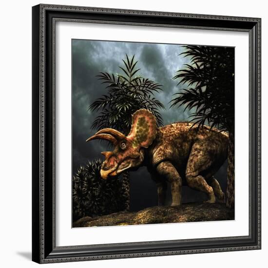 Triceratops Was a Herbivorous Dinosaur from the Cretaceous Period-null-Framed Art Print