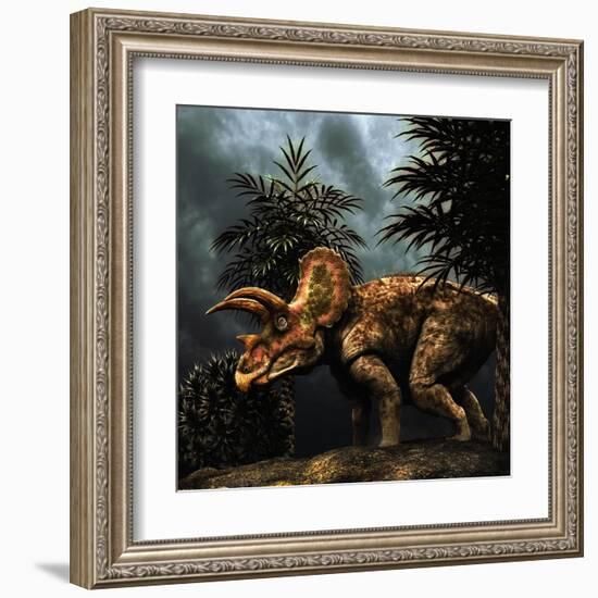 Triceratops Was a Herbivorous Dinosaur from the Cretaceous Period-null-Framed Art Print