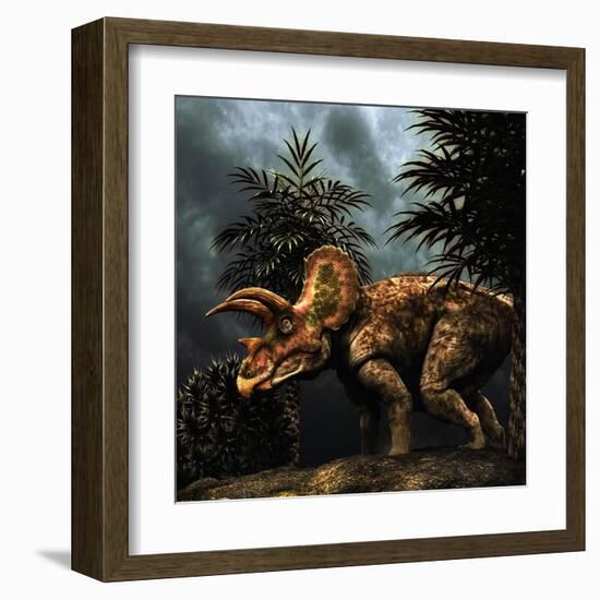 Triceratops Was a Herbivorous Dinosaur from the Cretaceous Period-null-Framed Art Print