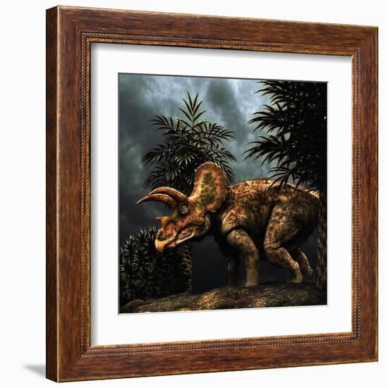 Triceratops Was a Herbivorous Dinosaur from the Cretaceous Period-null-Framed Art Print