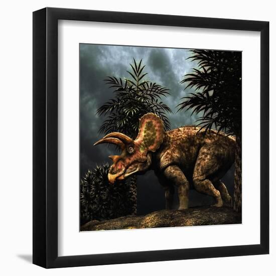 Triceratops Was a Herbivorous Dinosaur from the Cretaceous Period-null-Framed Art Print