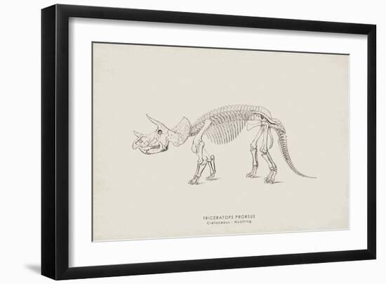 Triceratops-The Vintage Collection-Framed Giclee Print