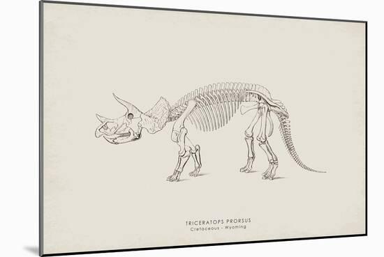 Triceratops-The Vintage Collection-Mounted Giclee Print